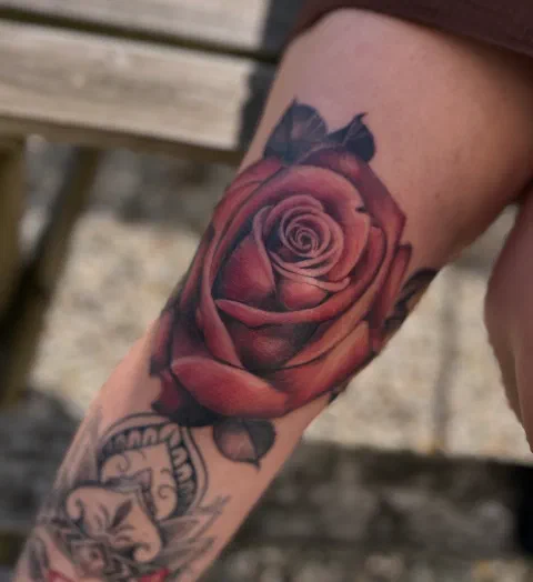 Roos op de knie – foto 2 van 3